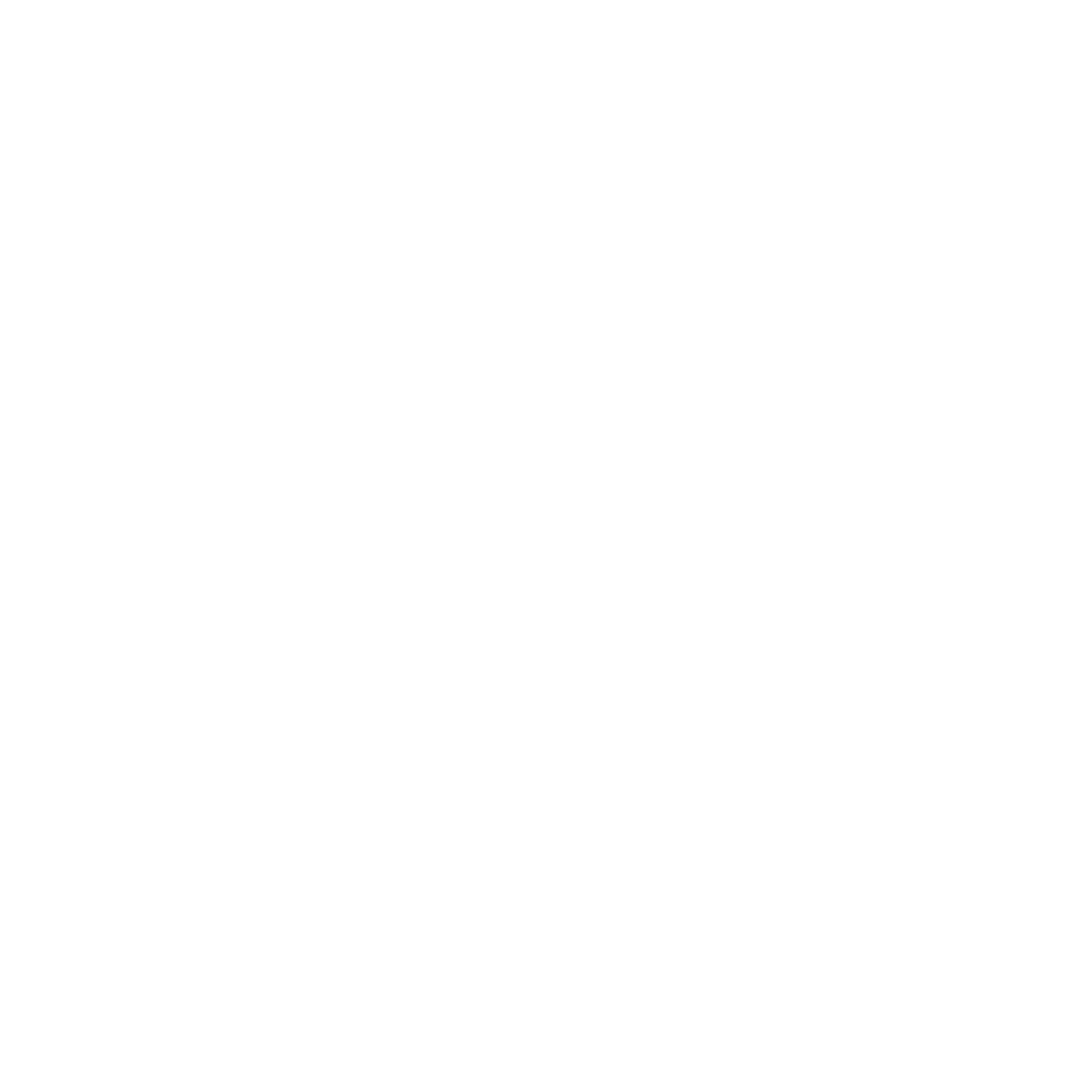 Salvi Agency